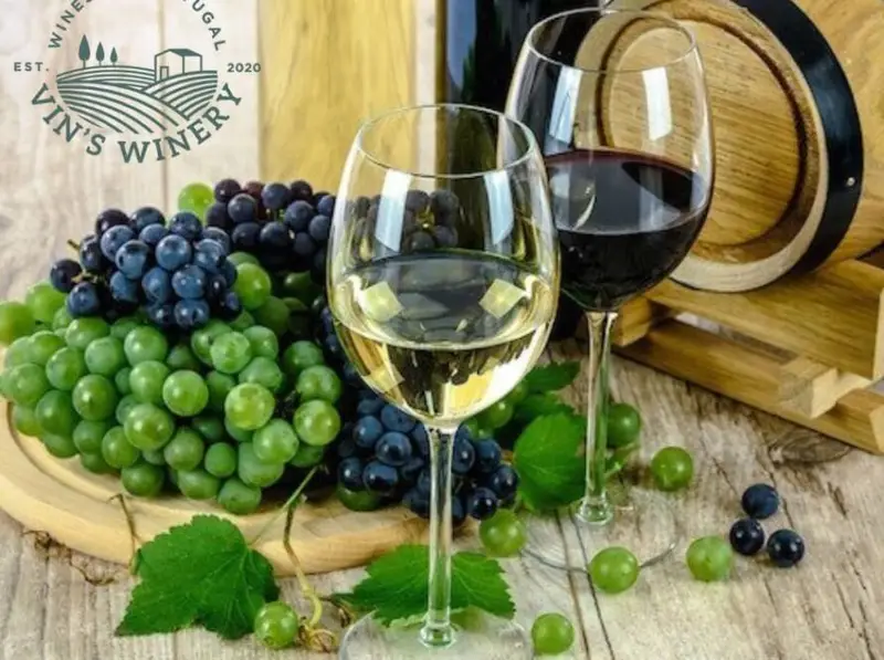Red and white Portuguese wines with grapes and barrel at Vin's Winery