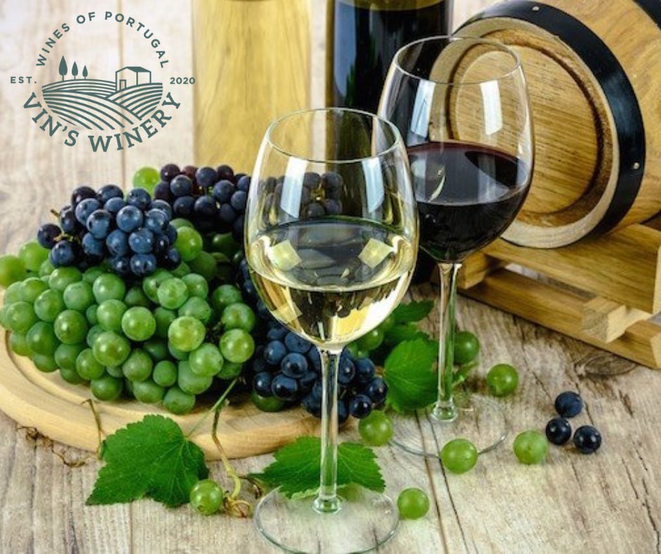Portuguese red and white wines with grapes and barrel