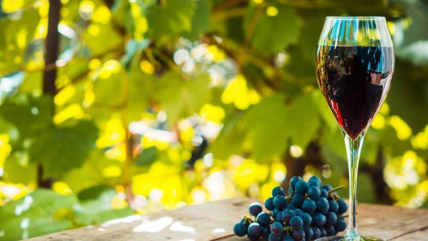 Portuguese wine barrels and glasses with grapes