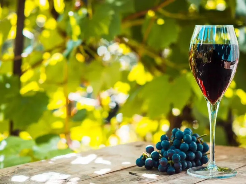Portuguese wine barrels and glasses with grapes