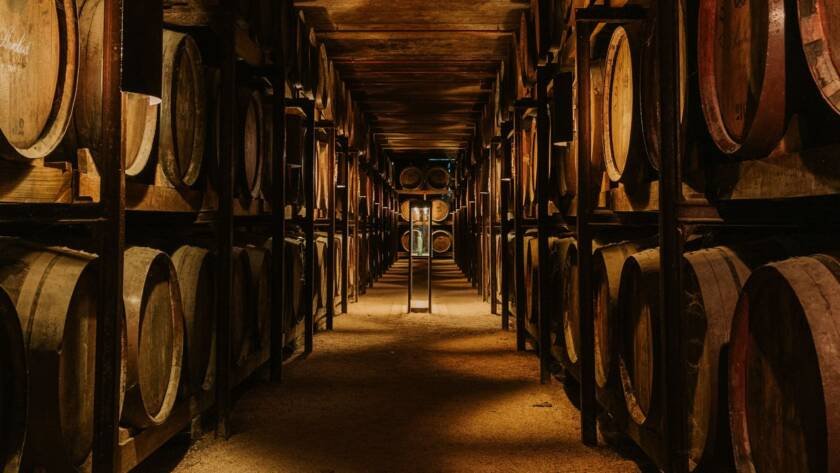 Wine cellar barrels corridor in warm light