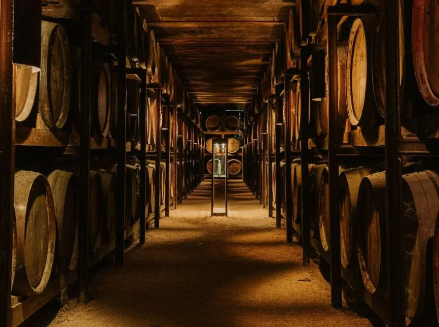 Wine cellar barrels corridor in warm light